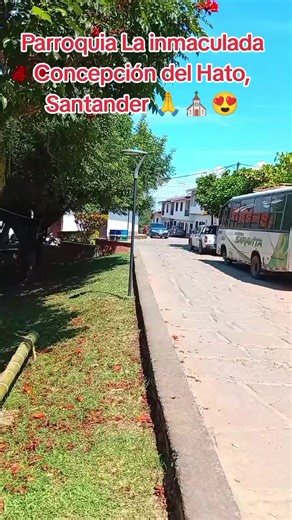 Es un templo relevante en la zona, con registros parroquiales que datan desde 1825, destacando su fachada en piedra labrada y su importancia histórica como centro religioso en Hato.👌💯⛪ #santander #elhato #municipio #parroquia #turismo