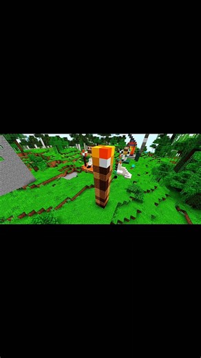 build torch in Minecraft🔦😲