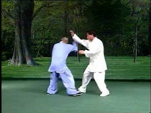 Taiji Pushing Hands-7: Demonstration