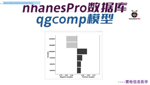 NHANES数据库实战--Quantile g-computation模型实现