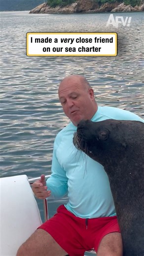 Awww it's love at first sight 🥰 #afv #funnyvideos | America's Funniest Home Videos