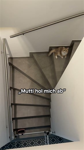 Wie faul bist du? Er: ja.