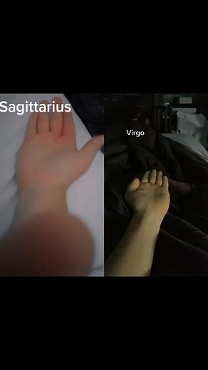 TikTok · thefurryfolf