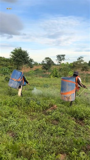 A Clever and Time-Saving Herbicide Spraying Hack
