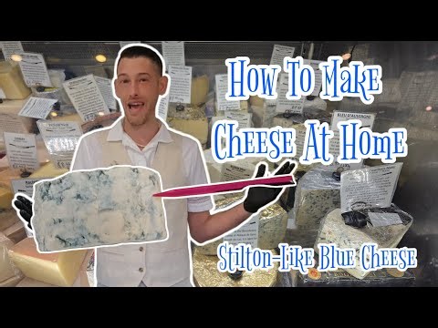 How To Make Blue Cheese At Home: Stilton-Like Cheese.