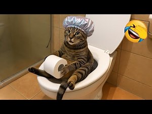 Try Not To Laugh 😂 Funniest Cats and Dogs Ever 😹🐶 Part 2