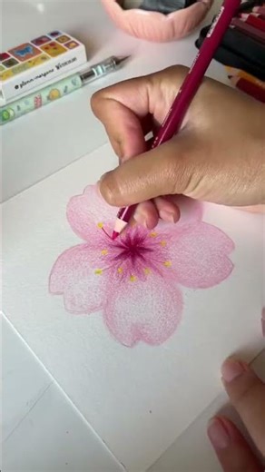 Sakura tutorial using colored pencils 🌸 #learnhowtodraw #flowertutorial #easydrawing #sakura
