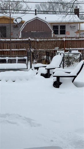 If you've followed me here for a while and remember the German Shepherd my husband rescued and we found a home for her... Ruby. Well, she had a great time today at her new home. The snow was her playground. She looks amazing and healthy. So grateful for these wonderful people who took her in. | Yolanda Harris 10TV