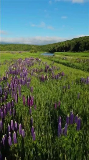 Hidden Gem - Beautiful New Brunswick, Canada 🇨🇦. Sometimes just explore your backyard.