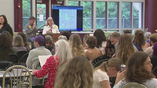 Hundreds gather to voice concerns about MoPac expansion