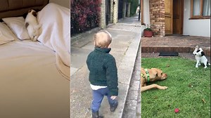 Hi Hi Good Morning | Know Your Meme