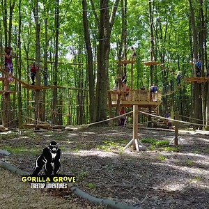 Take the fun outdoors at Gorilla Grove Treetop Adventures featuring a 36-hole mini golf course, racing zip lines, ropes course for all skill levels, and brand NEW laser tag! | Kalahari Resorts - Poconos
