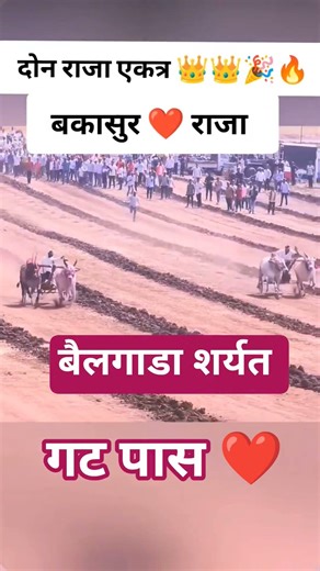 बकासुर ❤️ राजा गट पास 🔥🔥#shorts#bakasur#बकासुर#trending#bailgadasharyat#explore#foryou#race#viral