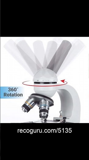 AmScope M150 Microscope: Quick Review!