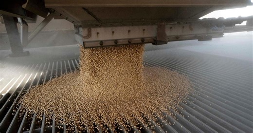 PBS News Hour:How China’s boycott of American soybeans affects farmers