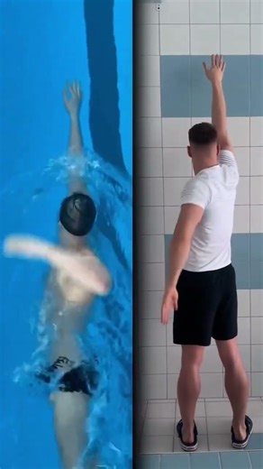 Freestyle standard rowing action land demonstration beginners must see skills Want to swim