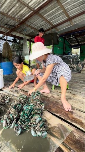 Fish Farm Life: Insane Feeding Frenzy!#shorts