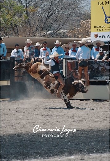 Charrería: Celebrating Mexican Rodeo Traditions
