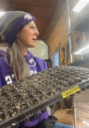 Seedling tour Bells of Ireland , Queen Anne's lace , snapdragons