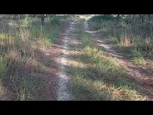 finding dispersed camp spots in Ocala national forest