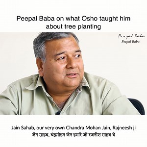 29K views · 2.5K reactions | Peepal Baba on what Osho taught him about tree planting | Peepal Baba | Facebook