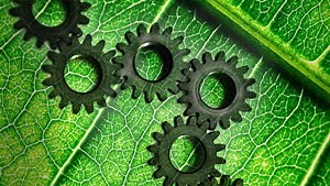 Making natural products at industrial scale with plant stem cells