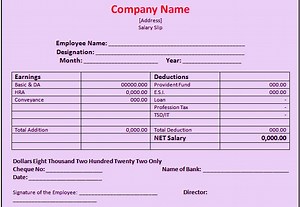 Download Driver Salary Slip Format