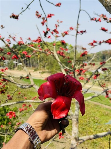 গানটা পূর্ণতা পেলো..! 🥰🌺 @ᴿᵃʷ🏴> ◊ 𓆩ᏃᎥʜꫝᴅ𓆪 ↳  || @⪨ 𝕄𝕠𝕛𝕒𝕙𝕚𝕕 ⪩ @Siam Mahamud⚡