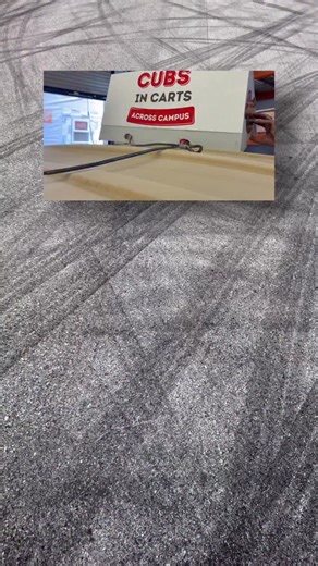 CSDR Superintendent April McArthur celebrates Homecoming with the Class of 1975 — our “Golden Cubs” — returning to campus for their 50th reunion. Watch this trailer as April and alumna Maureen Mazza take a ride through memory lane as they reflect on old memories, change through time, and the legacy of Cub pride that still lives strong today. To see the full interview, go to the link in BIO! | California School for the Deaf, Riverside