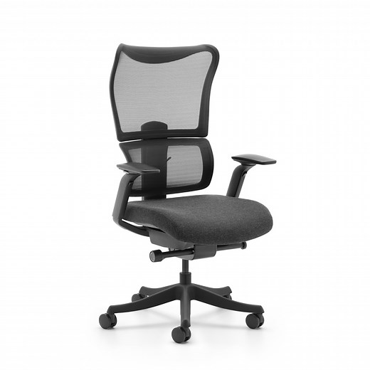 Buy the FlexiSpot BS8 Pro Premium Ergonomic WFO & WFH Office Chair - Mesh... ( BS8 Pro Black ) online