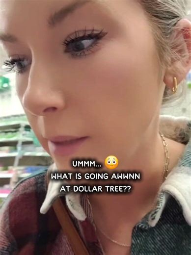 Dollar Tree Shopping Experience: What's New?