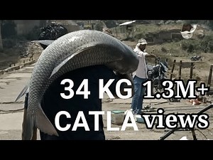 34 KG big Katla (Catla) pani me tayer kar pakda katla machli