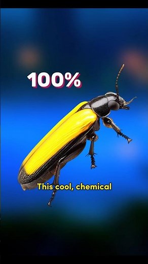 Fireflies Glowing to Communicate & Mate #facts #shorts