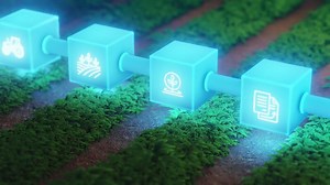 Blockchain agriculture concept. Digital farming technology, smart supply chain. Futuristic glowing blocks with farm icons over green field. sustainability, data management.