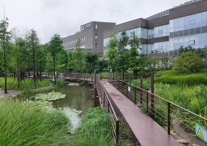 4K上海跑步路线 杨浦虹口滨江 24062701 跑步播客 跑鞋坡差讨论 疯狂麦克斯狂暴女神 复兴岛 裕丰纱厂 发电厂公园 杨浦大桥 绿之丘 东方渔人码头