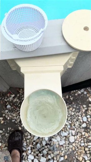 Full Skimmer Friday! 🍂🐥💦 #onlypools #poolcleaning #skimmer #friday