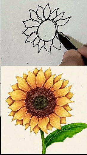 🌻 Easy Sunflower Drawing | Step by Step for Beginners #art #drawing #short #sunflower