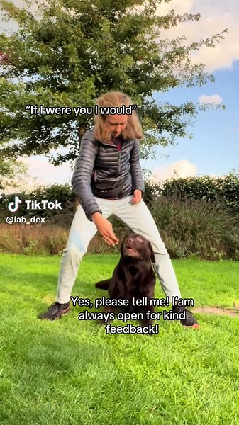 Embracing Feedback for Creative Improvement