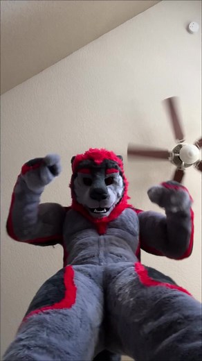 Exploring the Furry World: A Lion's Adventure into the Boobas