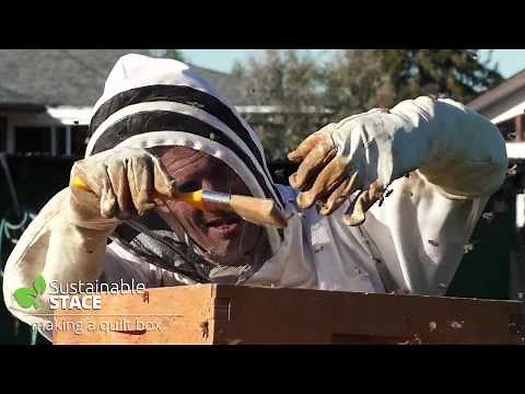 How to Build a Quilt Box for a Beehive