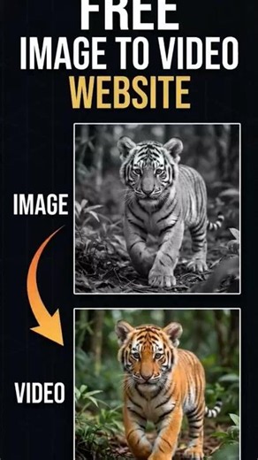 Convert Any Image to Video For FREE! (No Watermark) #foryou