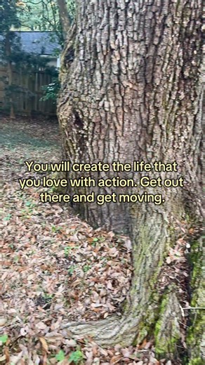 I could watch her run around her oak tree all day long 🩷 #motivation #motivationmonday #mondaymotivation #tuesdaymotivation #relateable #takeaction #change | Amanda Lee