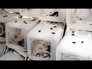 Terreform ONE Cricket Shelter