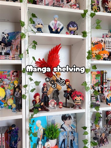 Creative Ideas for Manga Shelving Solutions