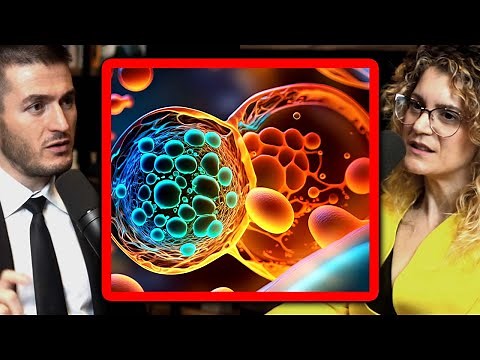 Physicist explains life | Sara Walker and Lex Fridman