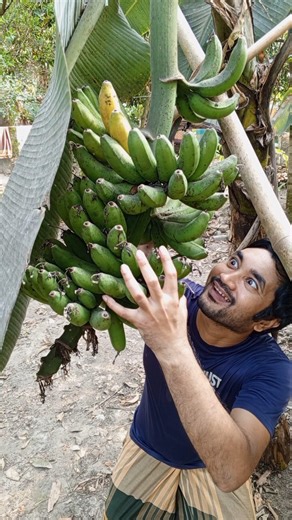 ১০ টি ফলের নাম। 10 Favorite fruits that you love eating #fruit #shorts #viral #trending #funny