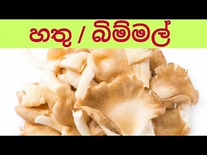 බිම්මල් / හතු මෙහෙම හදන්න - BIMMAL RECIPE SINHALA | HATHU CURRY SINHALA | MUSHROOM RECIPE