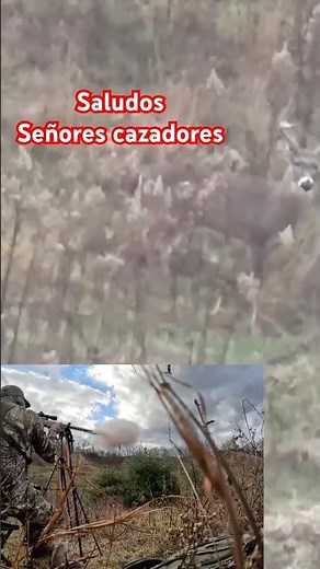 1.74 yardas con muzzleloader #hunting #deer #bowhunting