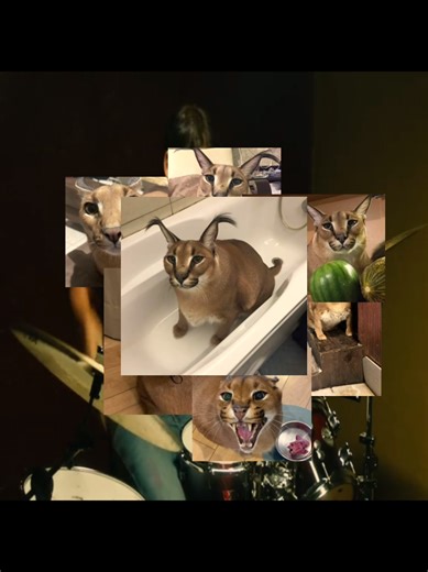 big floppa edit #floppa#caracal#bigfloppa#шлепа | Big Floppa