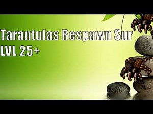 Tarantulas Port Hope Sur | Tibia